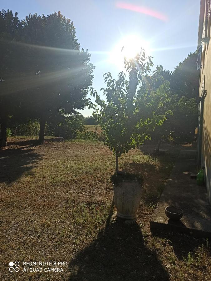 Bilocale Immerso Nel Verde Oviglio Bagian luar foto